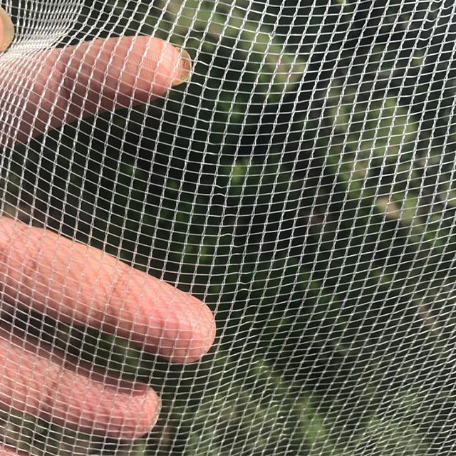 anti  insect net