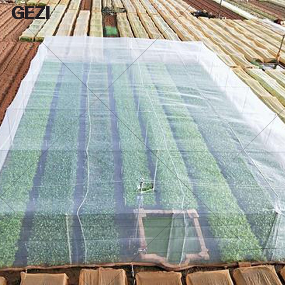 anti insect net mesh