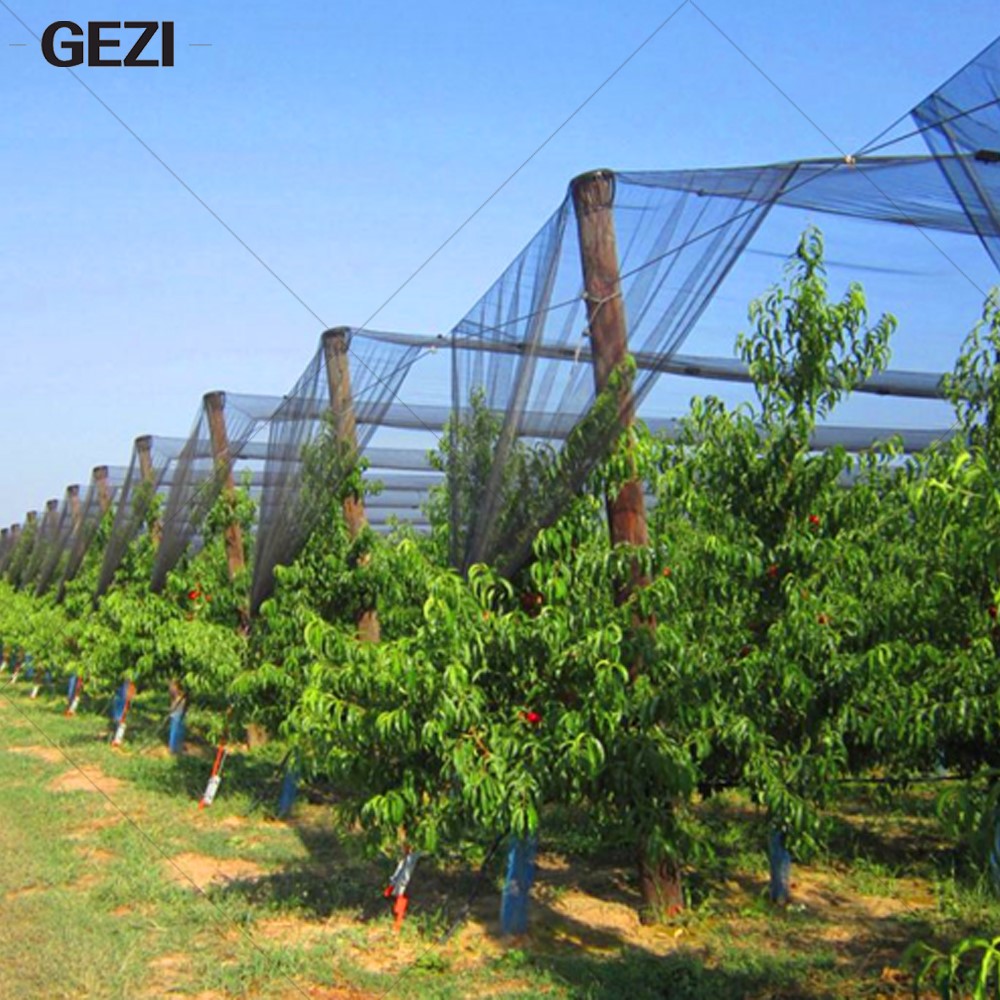 anti insect net mesh