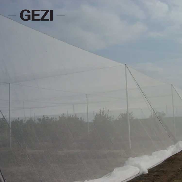 insect-net-greenhouse.jpg