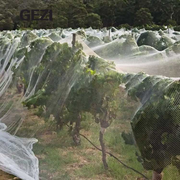 anti-bird-net.jpg