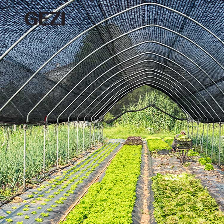 black-shade-netting-greenhouse.jpg
